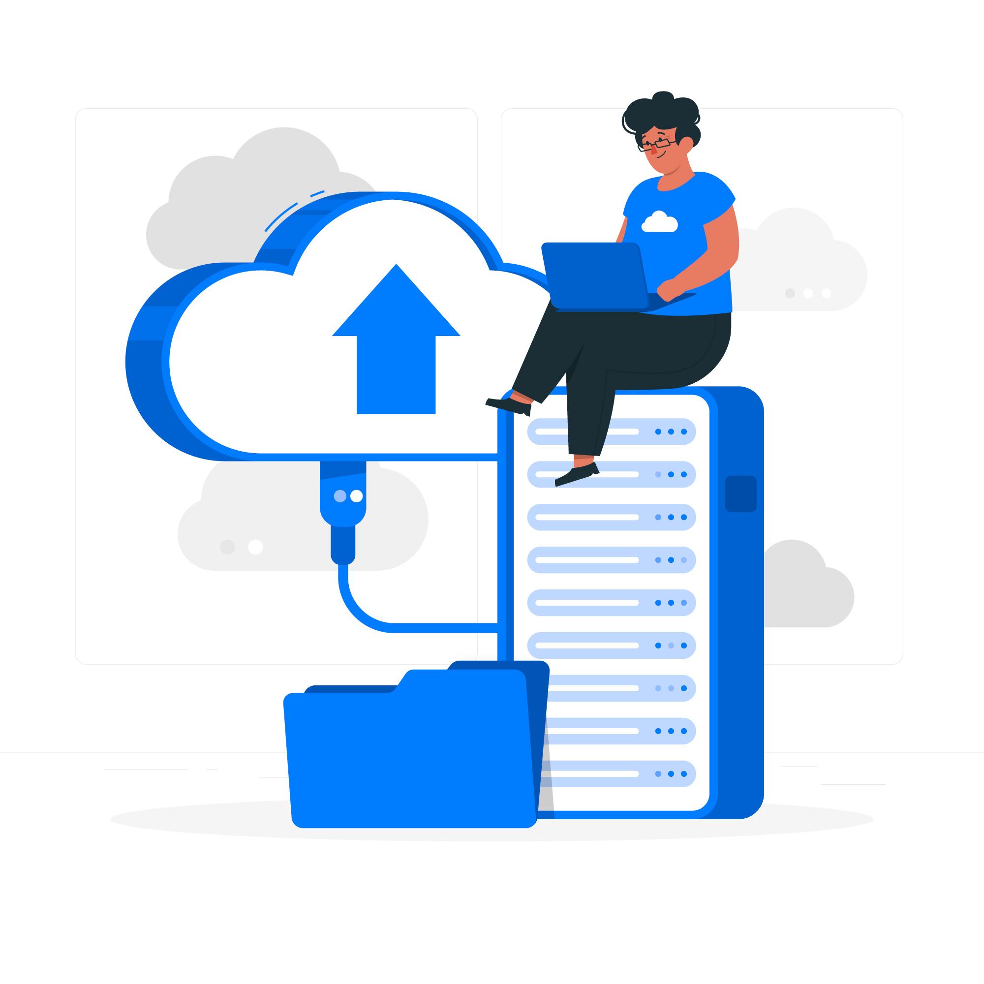 Hosting Nedir?